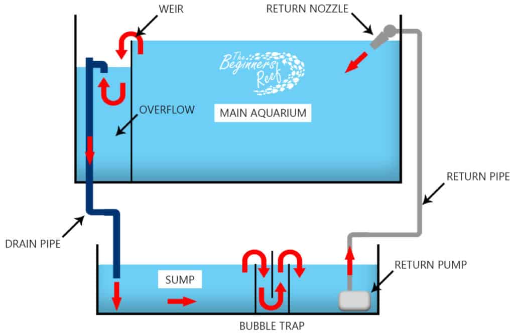 Aquarium Sump Operation