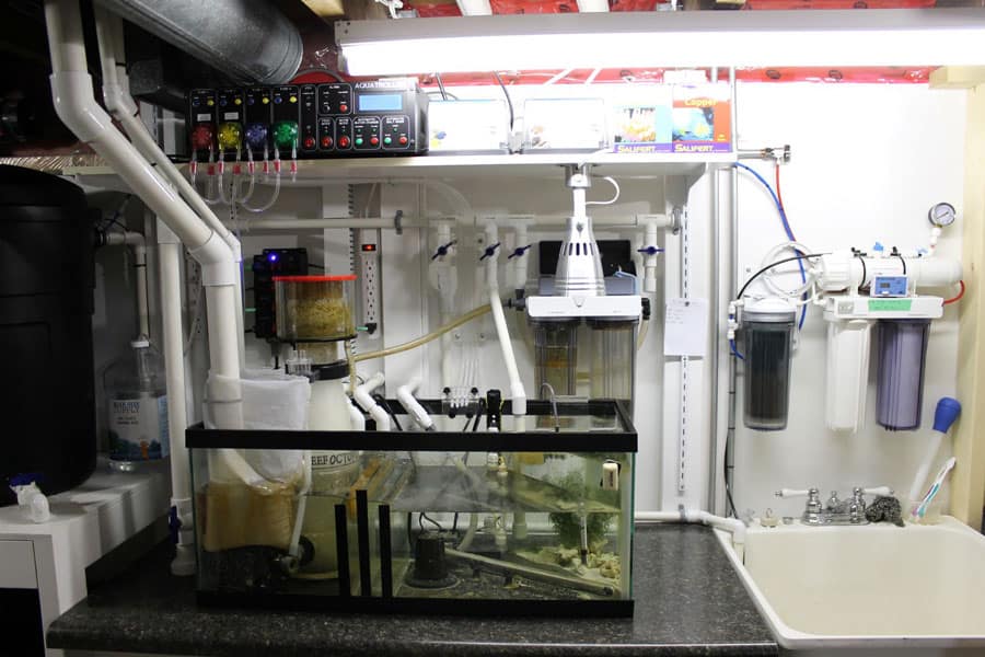 Aquarium Sumps This Is Everything You Need To Know The Beginners Reef - Diy Aquarium Sump System