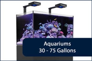 Setup Guides – The Beginners Reef