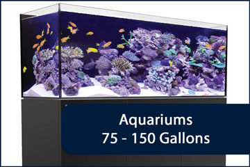 Aquariums 75-150G