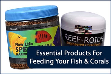 Aquarium Feeding Essentials Header