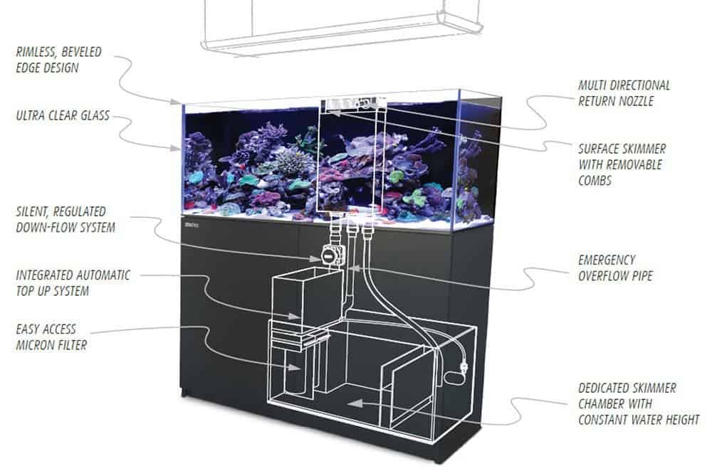 Post Mineraalwater Verblinding Aquarium Sumps: This Is Everything You Need To Know! – The Beginners Reef